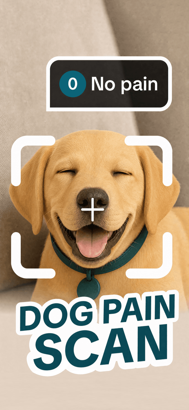 Detect Pain in Seconds