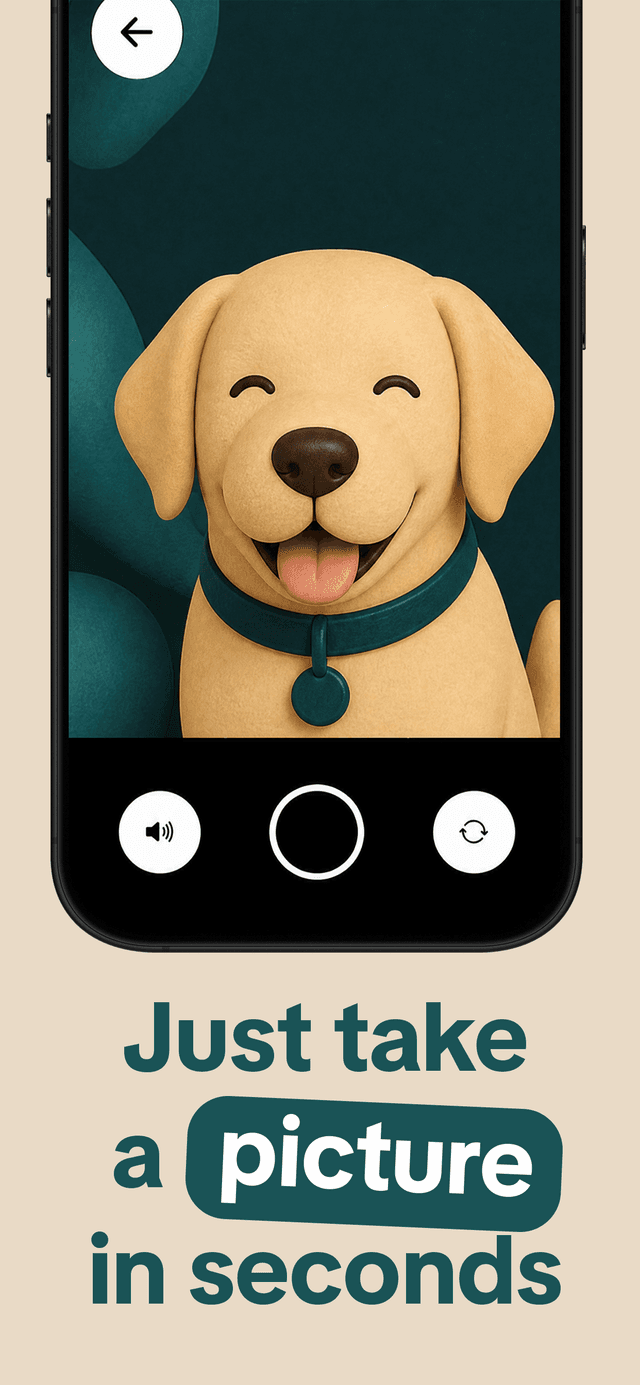 Step 1: Take a photo of your dog